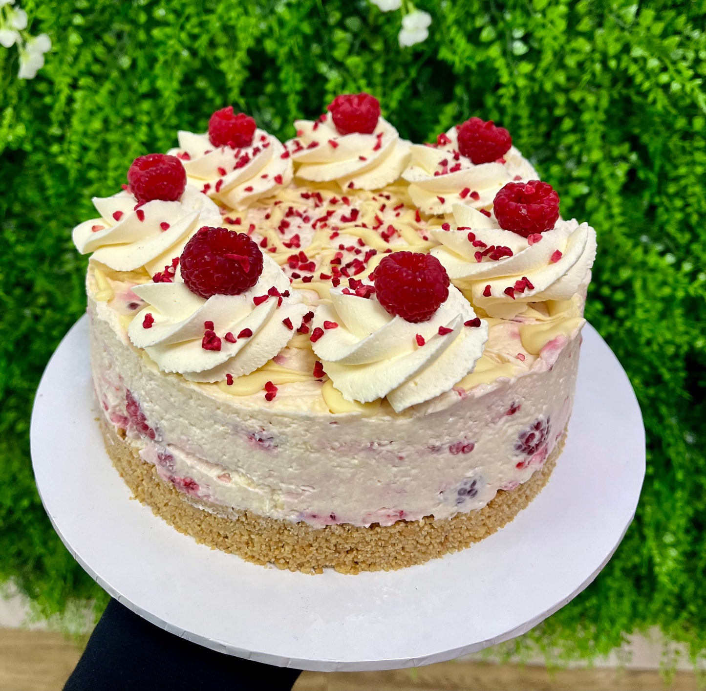 8" Cheesecake